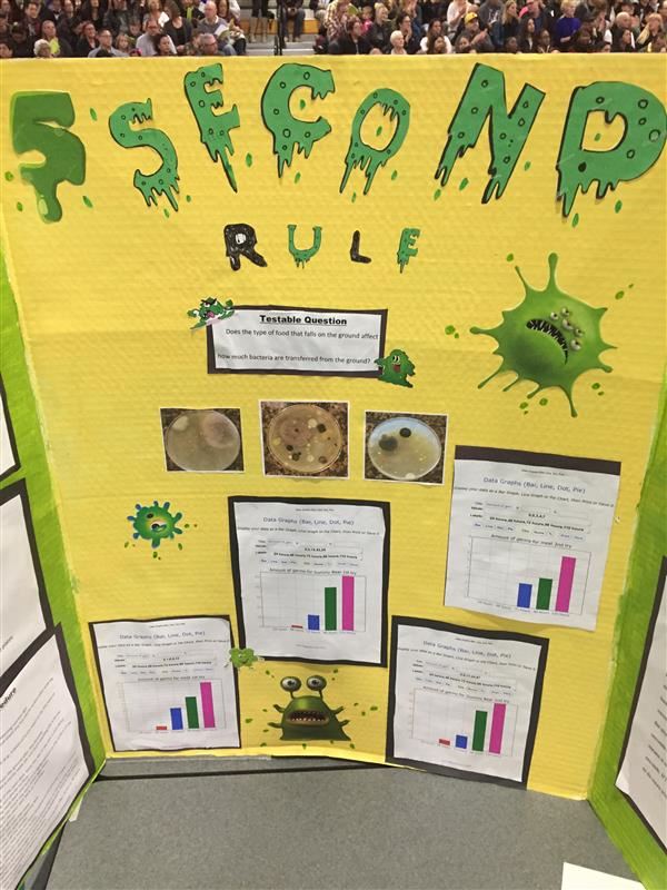 Science Fair project on the 5 Second Rule of dropping food on the ground and eating it